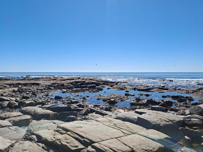0 Bedroom Property for Sale in Sandy Point Western Cape